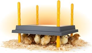 Hatching Time Warmzy 14"x14" Chick Heating Plate – Safe 30W Chicken Coop Heater for 25–30 Chicks with Adjustable Legs | Gentle Low-Heat Brooder Plate for Chicks, Durable Fire-Resistant Chicken Heater