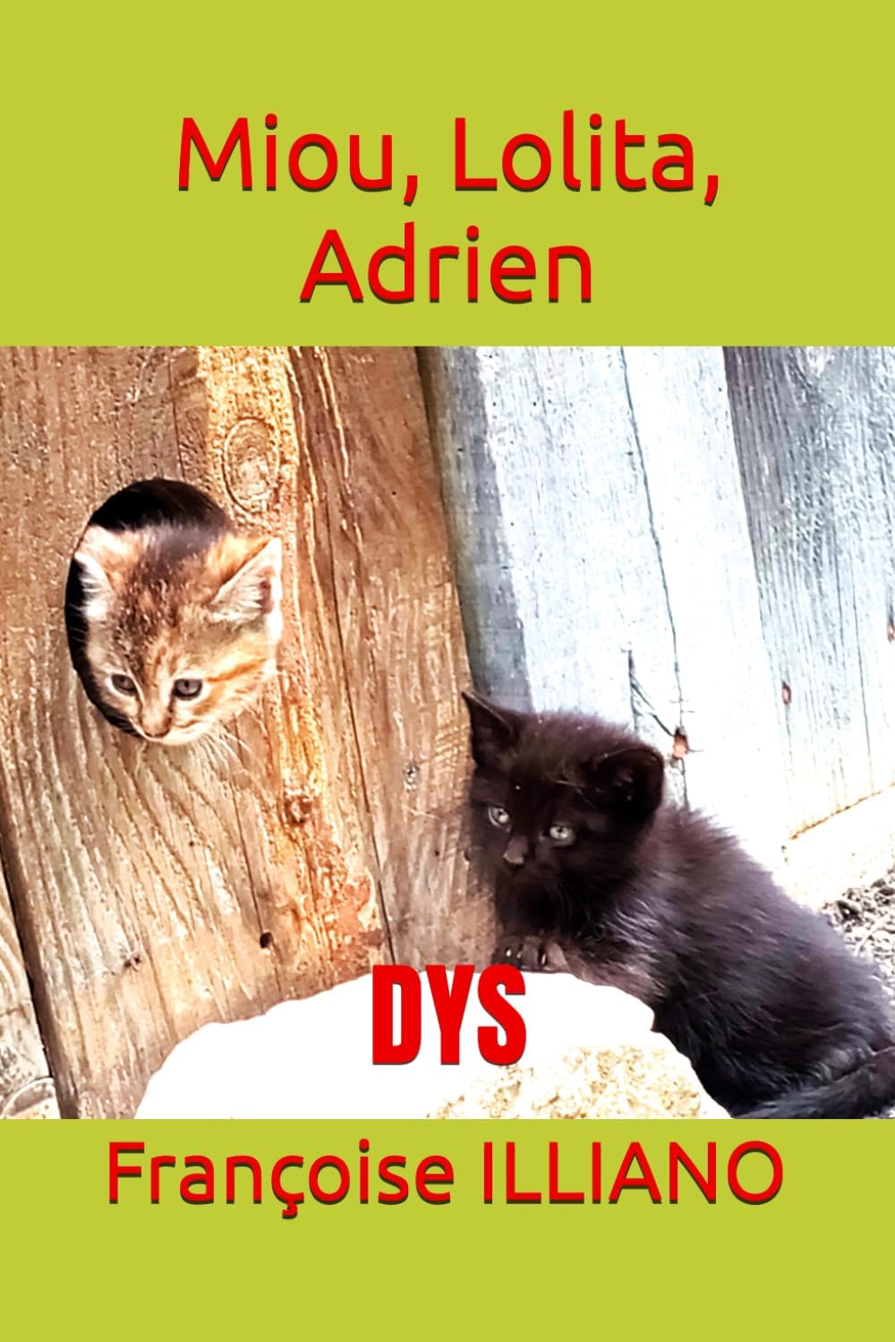 Miou, Lolita, Adrien: DYS (Livres adaptés à la dyslexie)