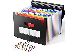 ABC Accordion File Organizer: Monthly Storage Solution for Paperwork and Documents (12 Pocket, Letter Size