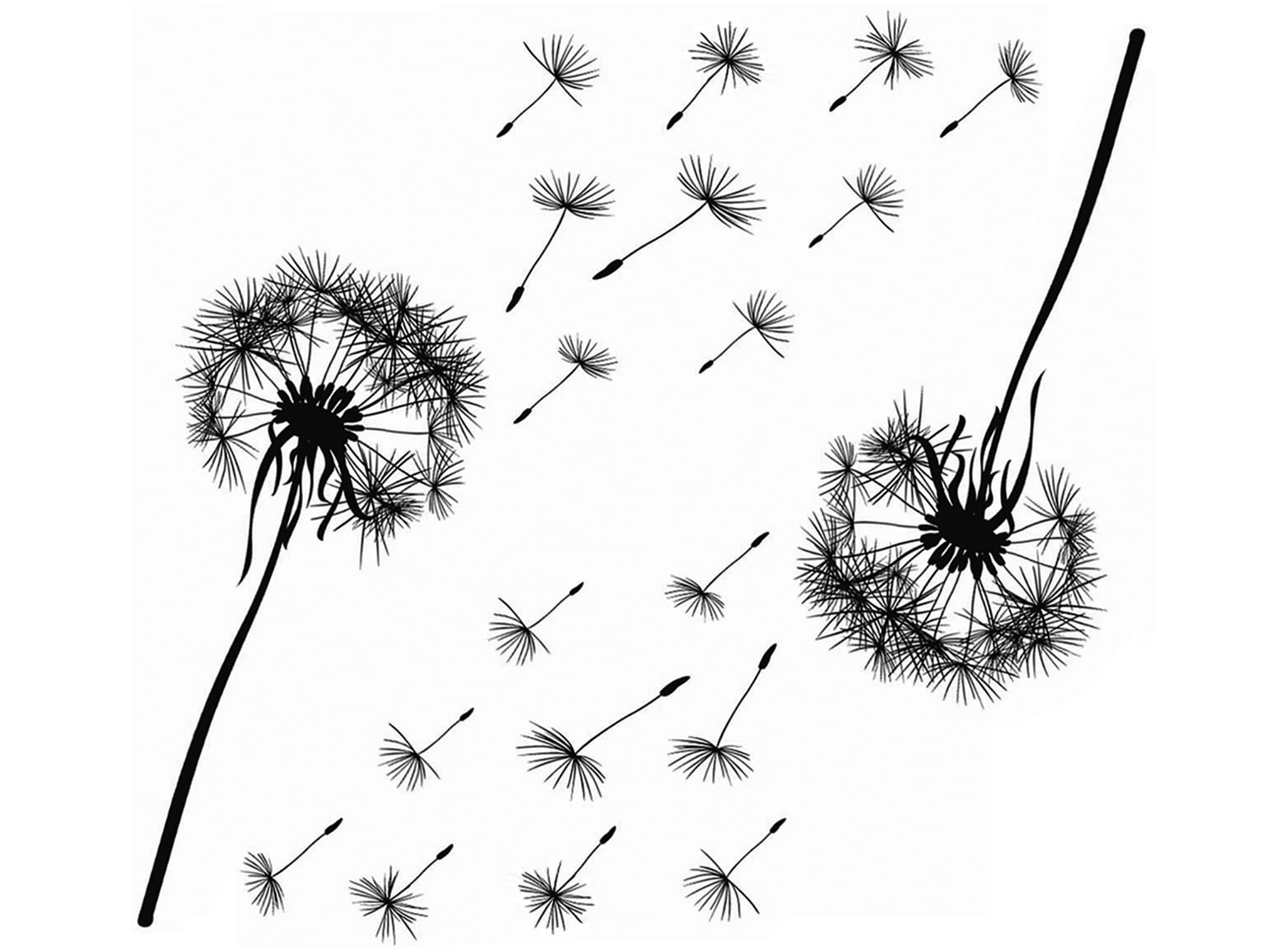 Dandelion 2 pcs 4 Inch Black Fused Glass Decals