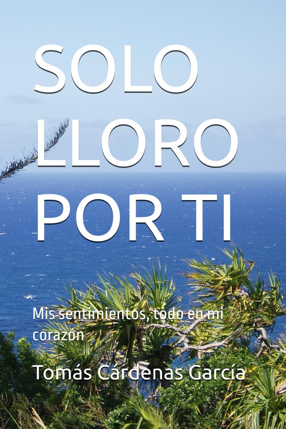 SOLO LLORO POR TI: Mis sentimientos, todo en mi corazón