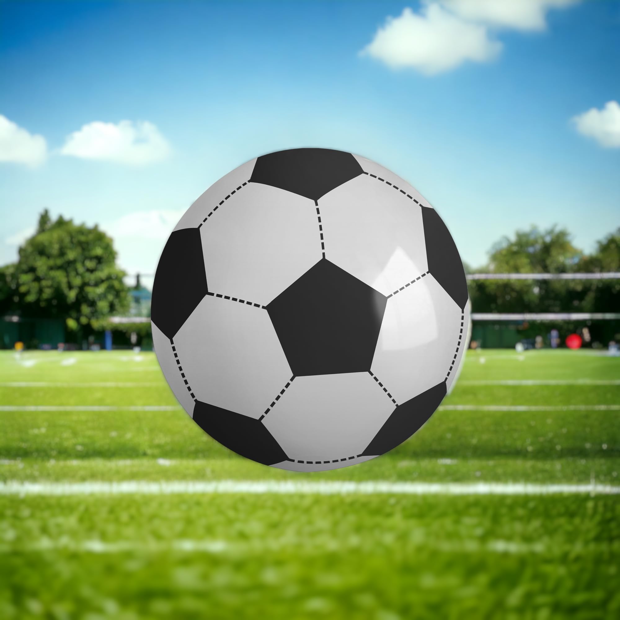 Giant Inflatable Football