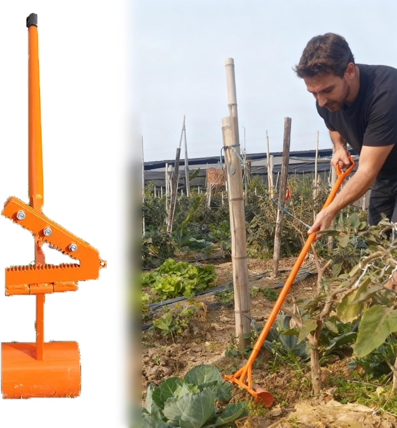 Large Size Sapling Puller, Post And Tree Puller For Brush, Stakes, Fence Posts, And Stump Removal