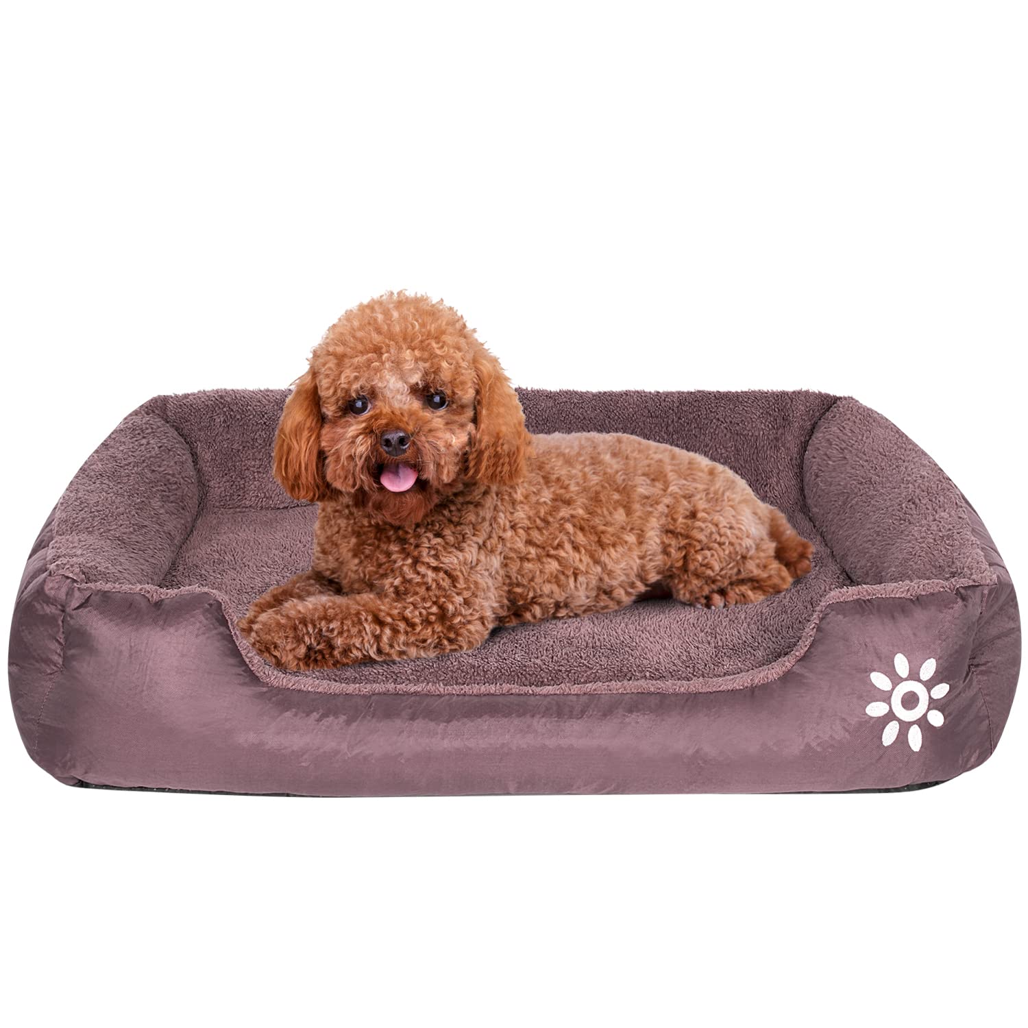 PUPPBUDD Orthopedic Dog Bed