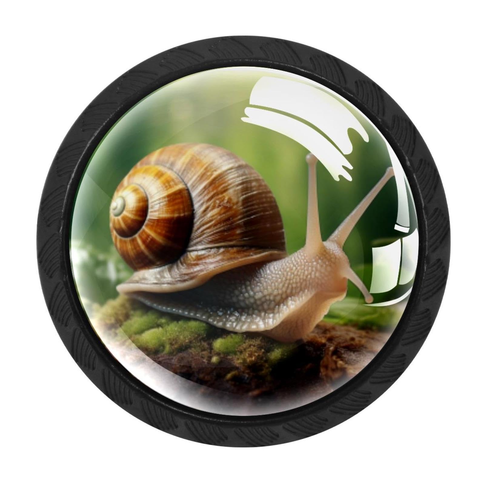 CHENZZZZ 4 Pack Snail Drawer Knob Cabinet Hardware