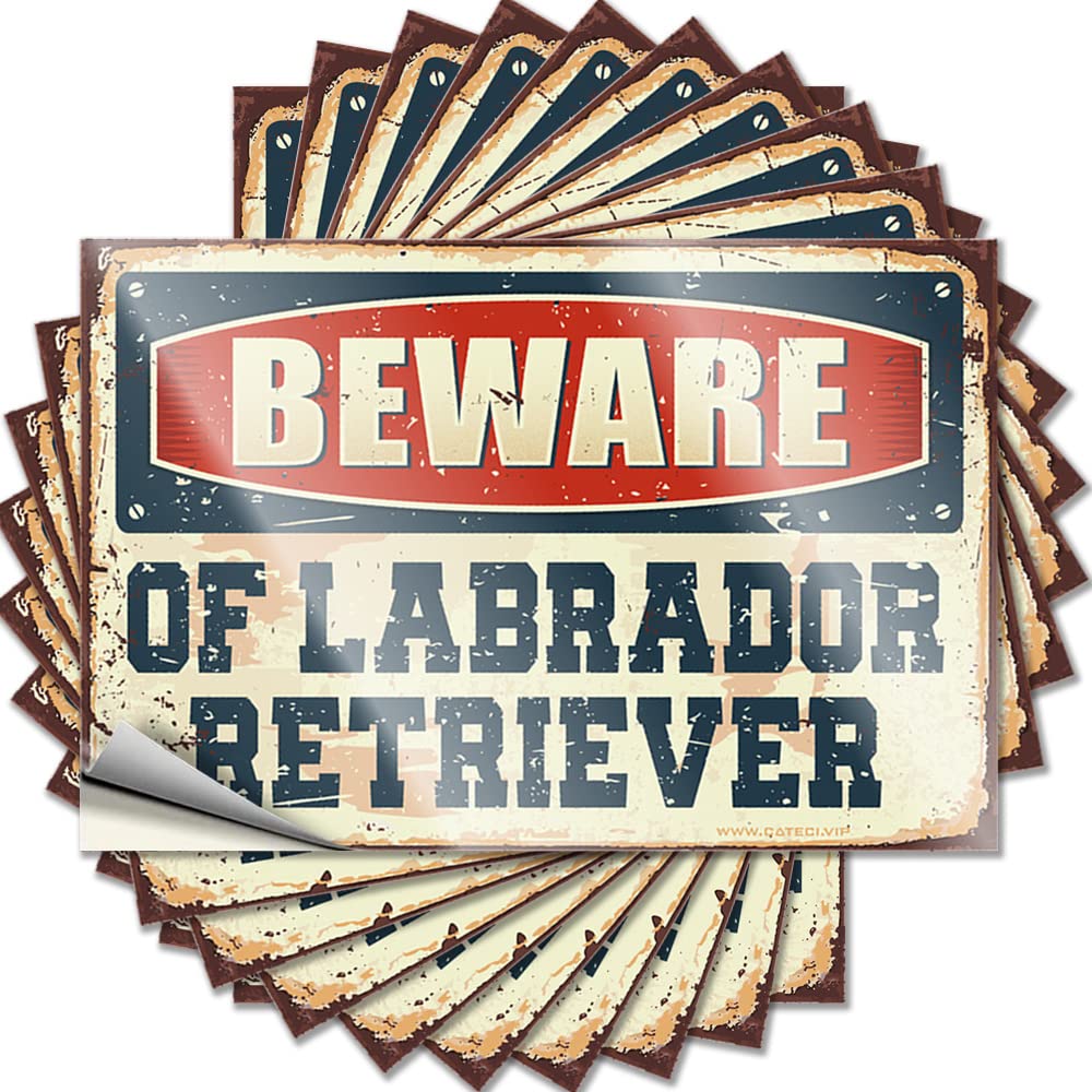 Fzfn Girls Colour Beware Of Labrador Retriever Custom Decore For Room - Sticker Door Removable Vinyl Decal(6X9cm)