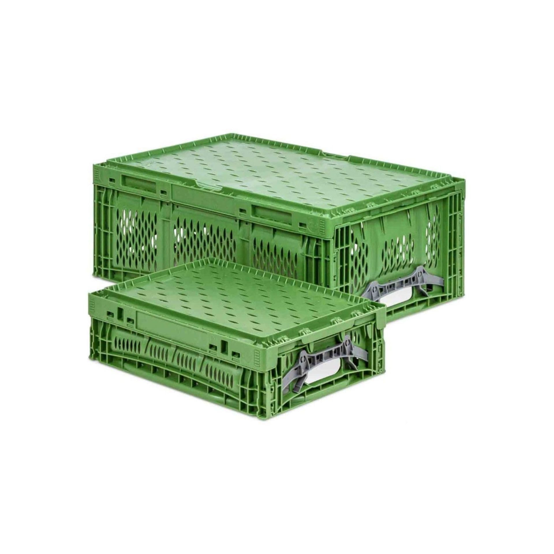 PROREGAL SuperSparSet 5x Stabile Profi-Klappbox Chameleon in Industriequalität | HxBxT 18x30x40cm | 17L | klappbar stapelbar durchbrochen lebensmittelecht | Eurobox Eurobehälter Transportbehälter