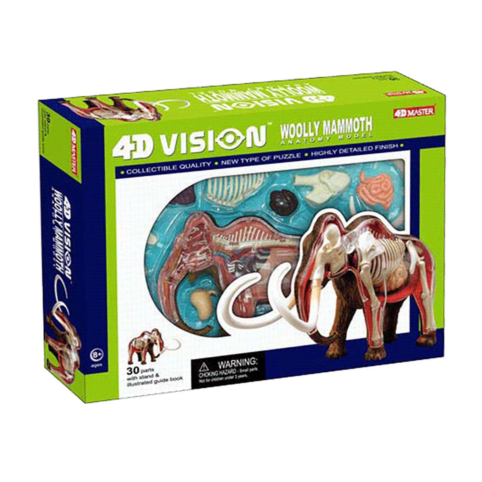 Modelo Anatómico De Momia De Lana 4d. Muestra De Esqueleto Animal, Biología Desmontable, 30 Secciones De Demostración De Enseñanza Veterinaria En Clínicas Veterinarias