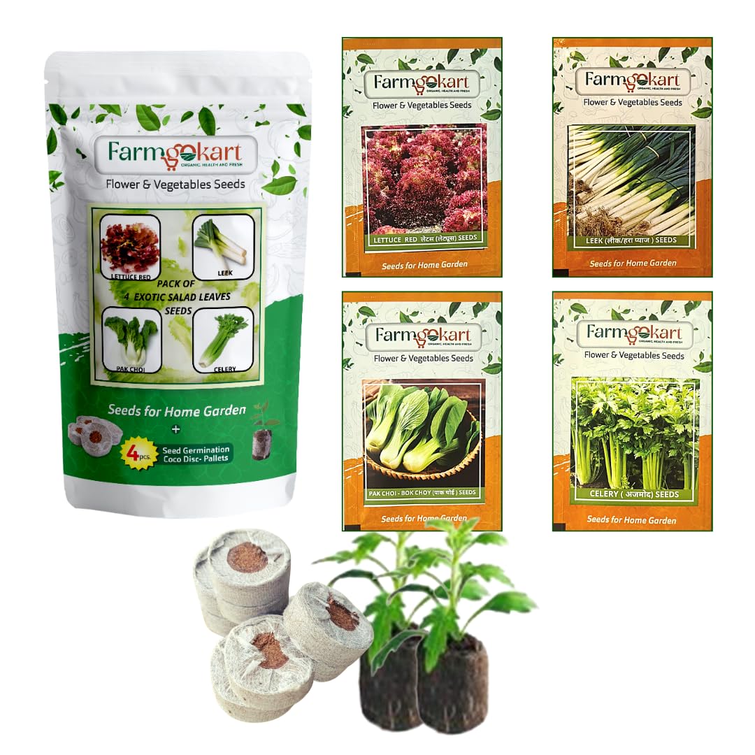 Farmgokart Combo Pack Of 4 Exotic Salad Leaves Seeds | LETTUCE RED, LEEK, PAK CHOI & CELERY | Easy To Grow | Best Suitable For Terrace And Home Gardening | With 4 Coco Disc - (VC-13)