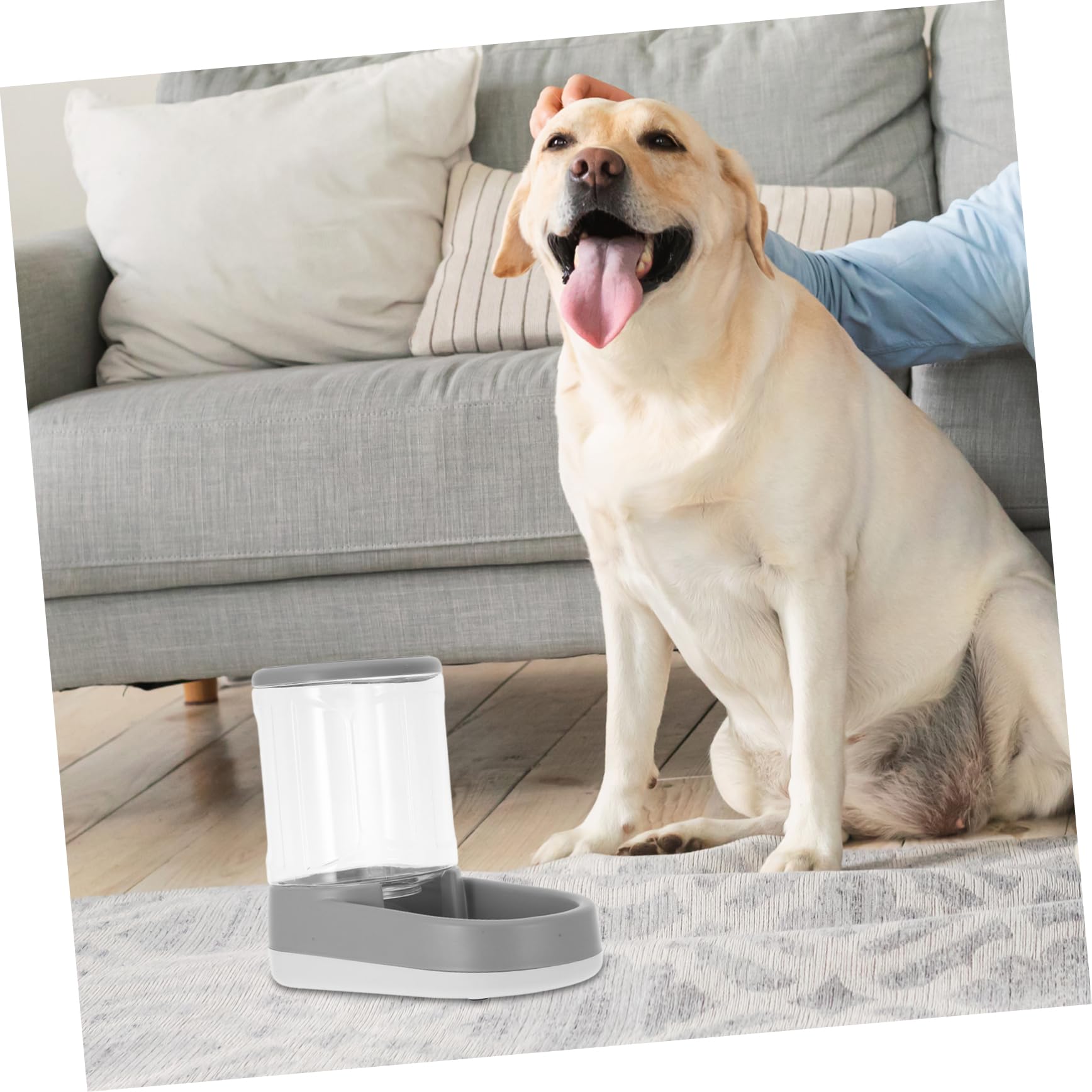 Happyyami Distributore Automatico Di Cibo E Acqua Per Cani E Gatti Capacità Materiali Sicuri Per Cuccioli E Gattini