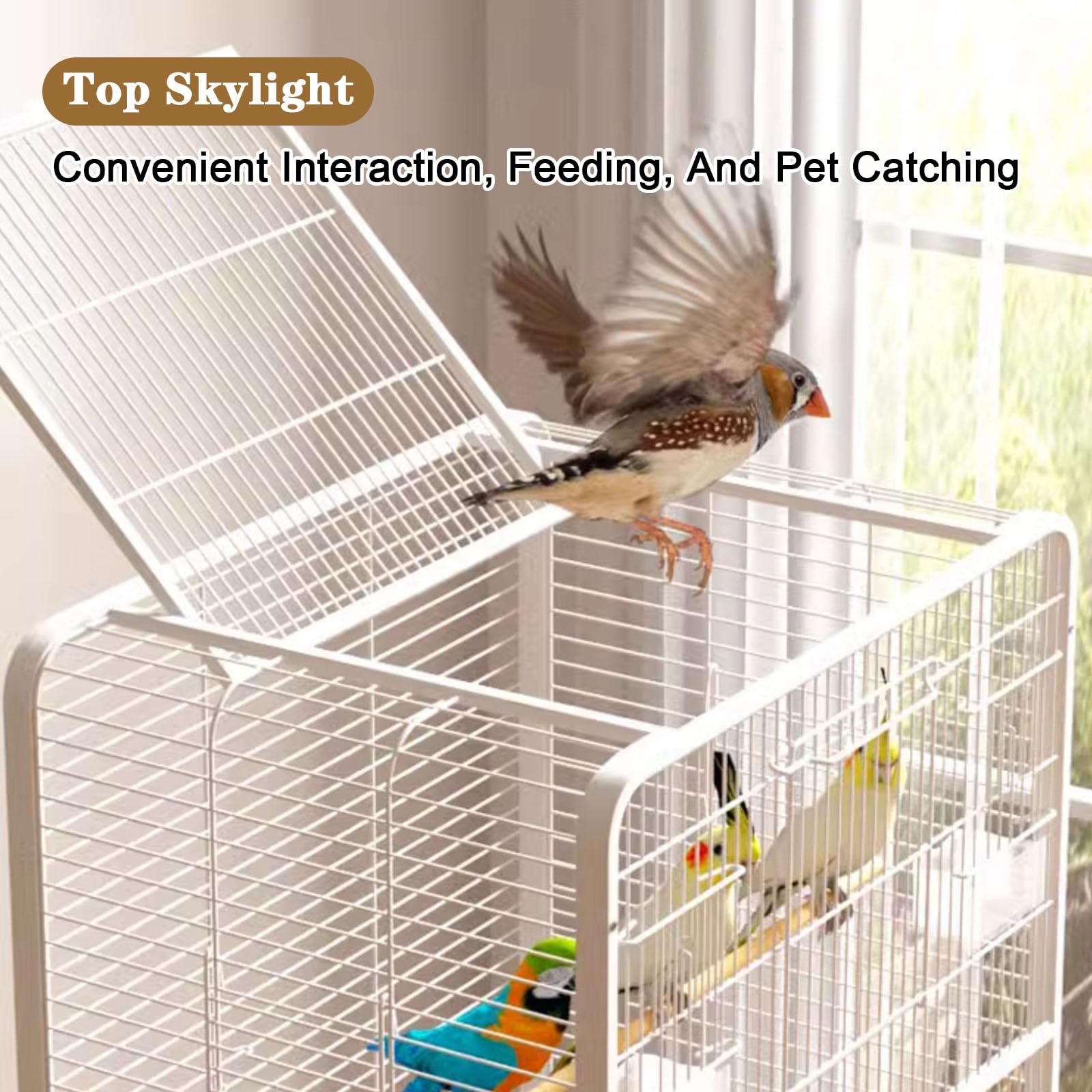 Cage à oiseaux avec toit ouvert - Volière d'intérieur pour perruches, calopsittes et conures