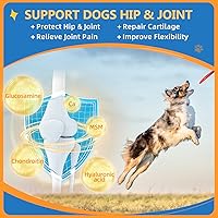 Vista 4 de ZEBORA Dog Multivitamin Powder with Glucosamine, Dog Vitamins and Supplements for Immune Support, Skin and Coat Supplement with Omega 3 for Allergy