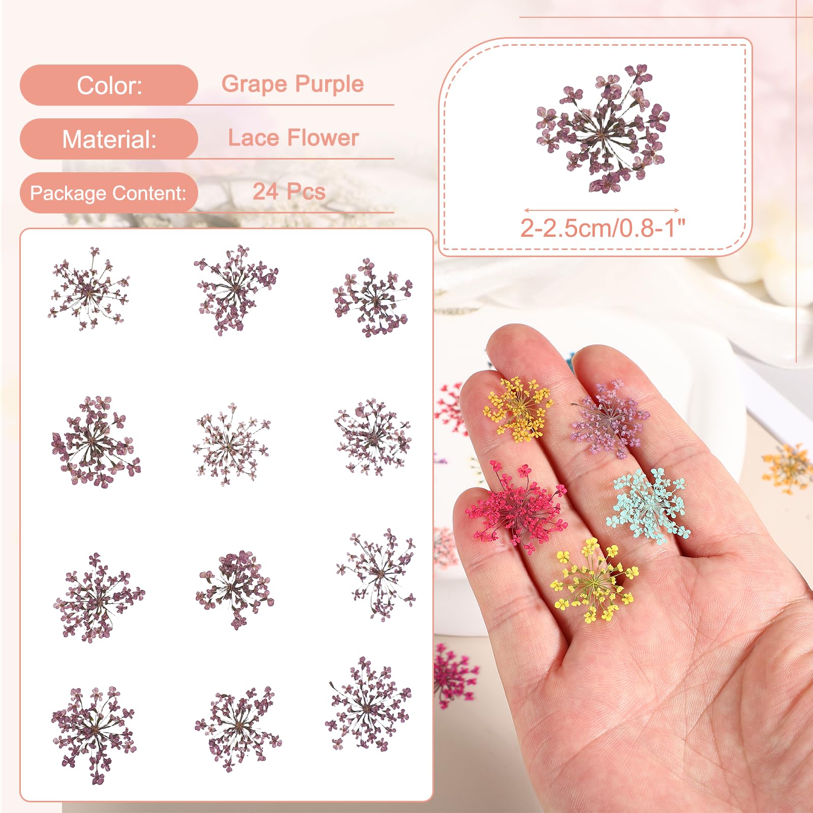 QUARKZMAN 24 Pezzi Fiori Pressati E Essiccati, 2-2,5 Cm/0,8-1" Fiori Di Pizzo Reali Essiccati E Pressati All'ingrosso Per Nail Art Resina Gioielli Candele Biglietti Scrapbook Viola Uva