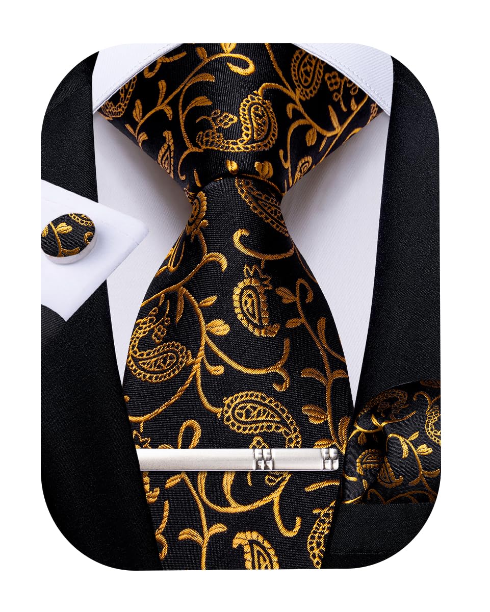 DiBanGu Silk Floral Ties for Men Woven Paisley Necktie