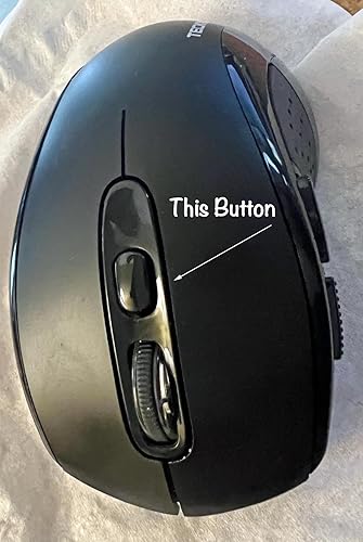 Review Image by LL