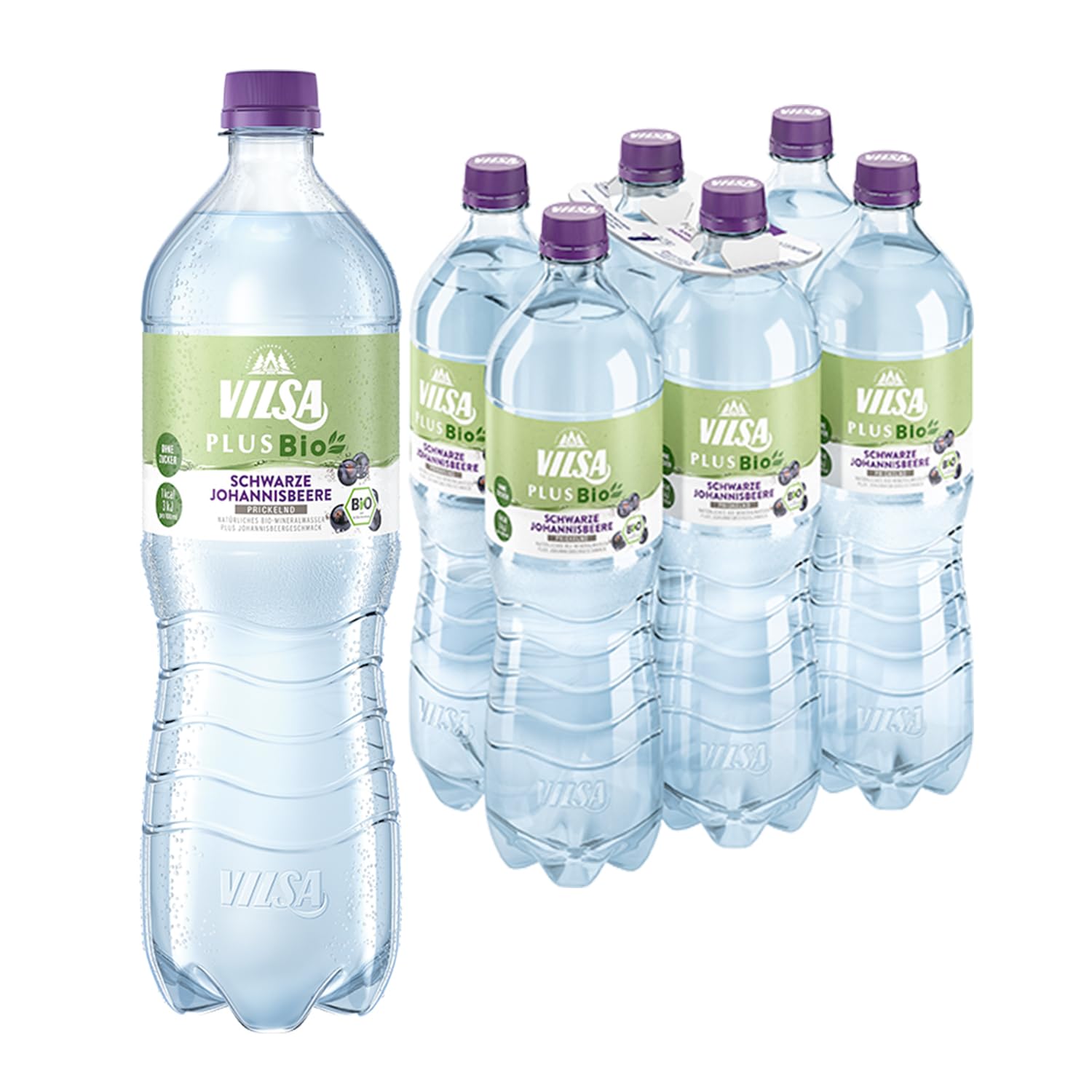 VILSA PLUS Bio Schwarze Johannisbeere, 6 x 1,00 l rPET