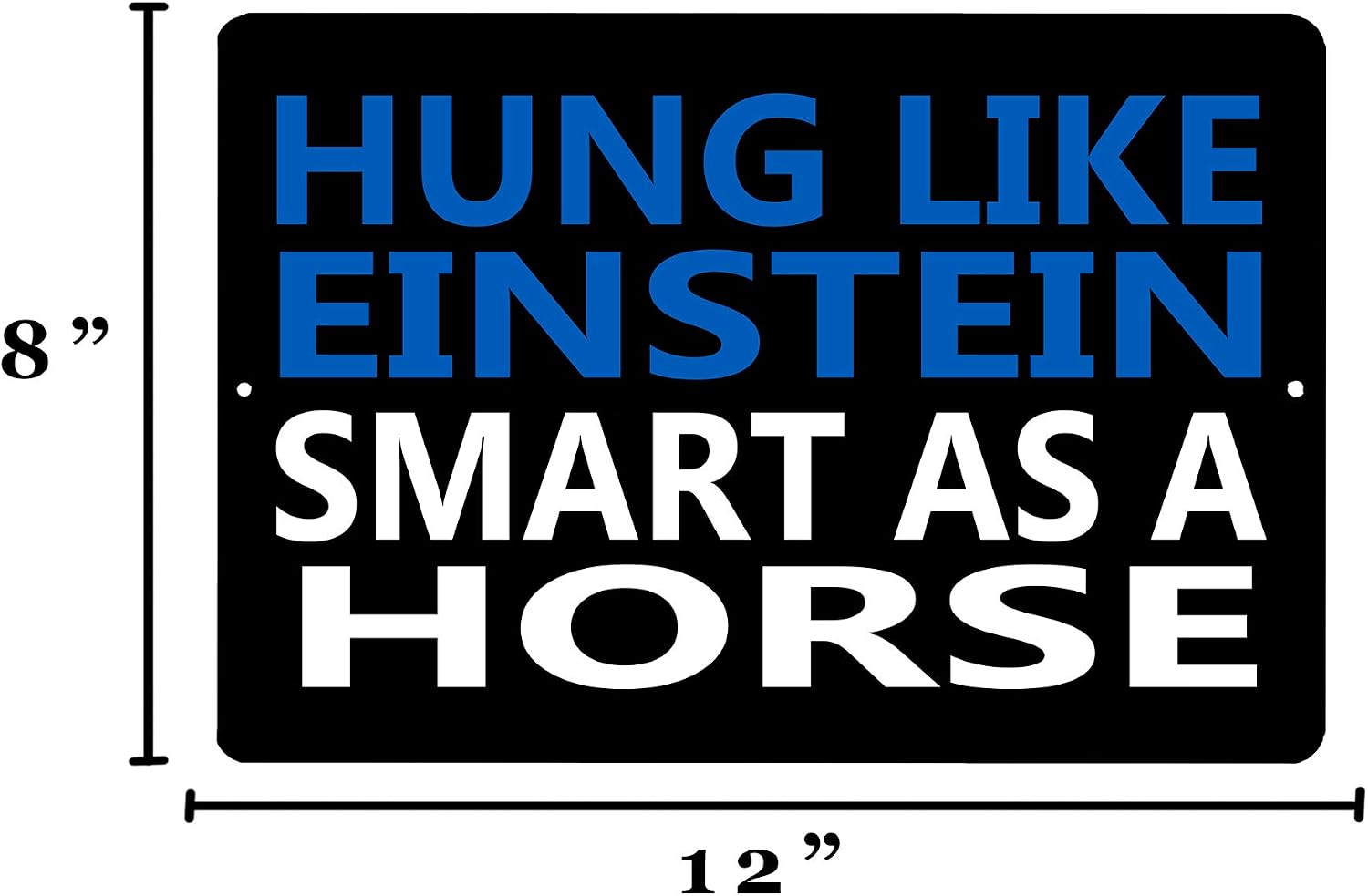 Rogue River Tactical Funny Sarcastic Metal Tin Sign Wall Decor Man Cave Bar Hung Like Einstein Smart as A Horse image 3