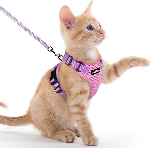 Miniatura 55 de rabbitgoo Cat Harness and Leash for Walking, Escape Proof Soft Adjustable Vest Harnesses for Cats, Easy Control Breathable Reflective Strips Jacket