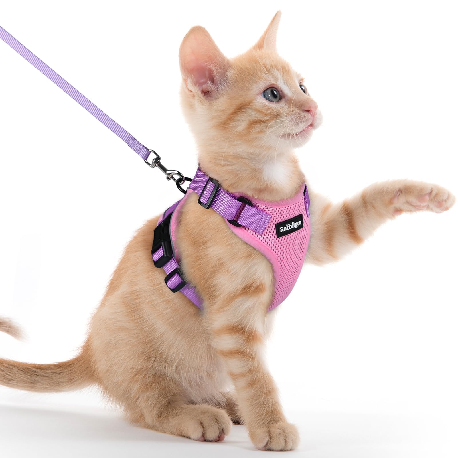 rabbitgoo Cat Harness and Lead Set, Adjustable Escape Proof Cat Lead for Walking, Reflective Kitten Harness Set, Soft and Comfortable for Kittens and Small Cats, Pink & Purple, XXS