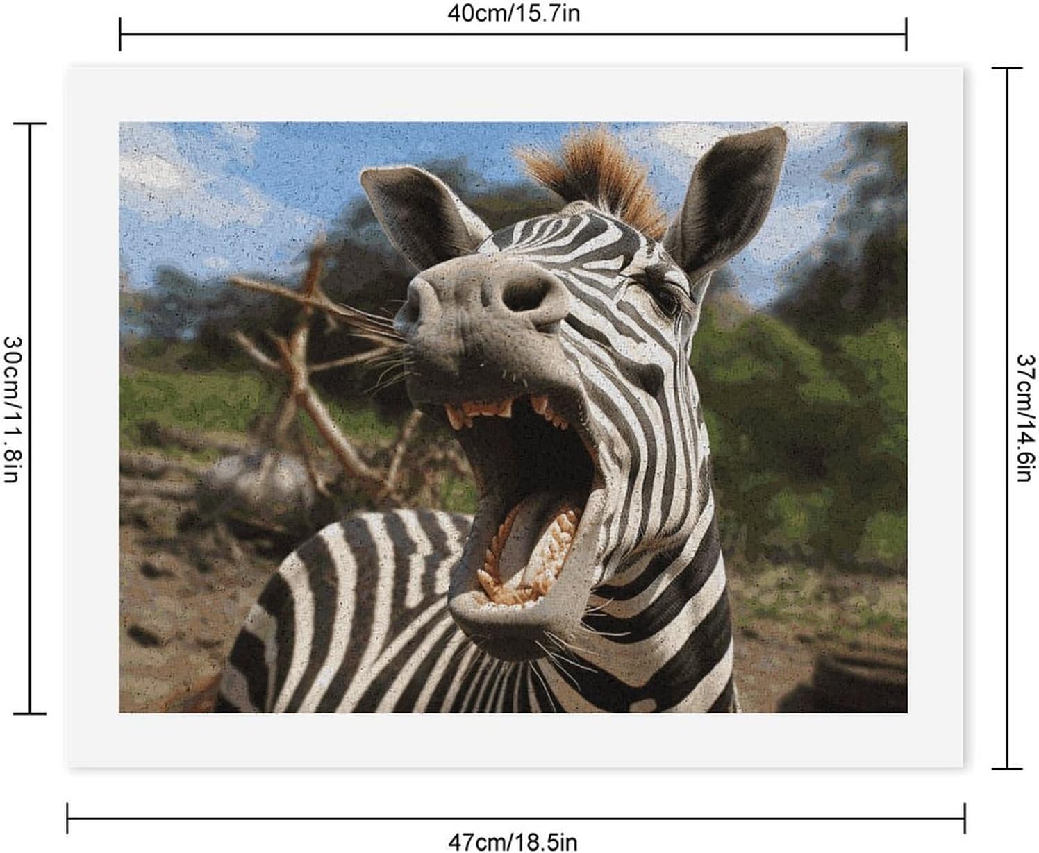 FodPand Funny Zebra Paint by Numbers Kit for Beginner, Personalized Oil Painting for Gift Wall Decor, Lightweight Acrylic Painting with Brushes, Custom Paintings Arts 30x40cm image 2