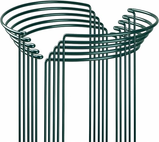 Plant Support Structures