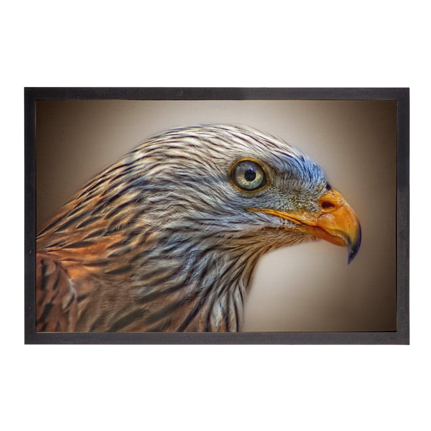 Paillasson Milan Royal anti-saleté motif aigle oiseau pour garder votre maison propre