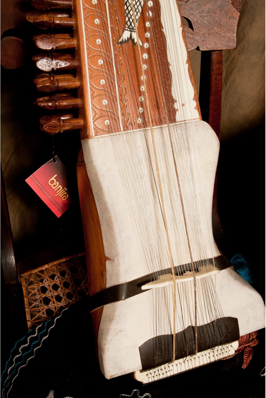 banjira Sarangi w/ Fiberglass Case - Image 2
