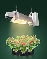 Vista 7 de 12 cuerdas ajustables con gancho de 1/8", correa de amarre resistente con engranaje metálico reforzado, polea con trinquete, elásticas, para colgar