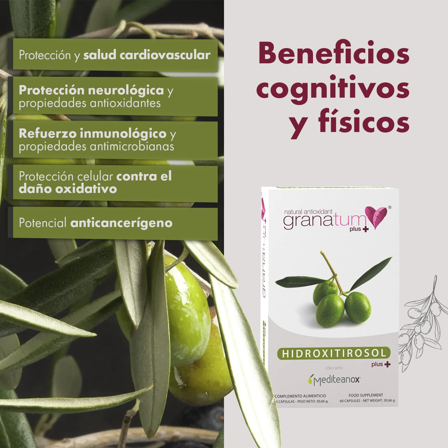 Granatum Plus - Hidroxitirosol Plus - Complemento Alimenticio - Extraído de Aceite de Oliva Virgen Extra - Suplemento Antioxidante - Bienestar General - Producido en España (2 Cajas de 60 cápsulas)