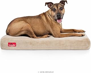 BRINDLE Waterproof Memory Foam Pet Bed - Removable and Washable Cover - 4 Inch Orthopedic Dog and Cat Bed - Fits Most Crates, Khaki
