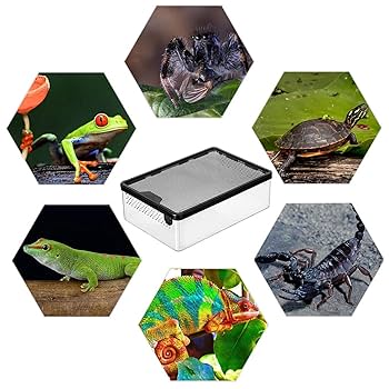 mmt※プロフ読んで下さい　爬虫類ケージ　1000×400×450 防水 強固な爬虫類「標準ケージ」180×45×45cm◇送料無料 #爬虫類