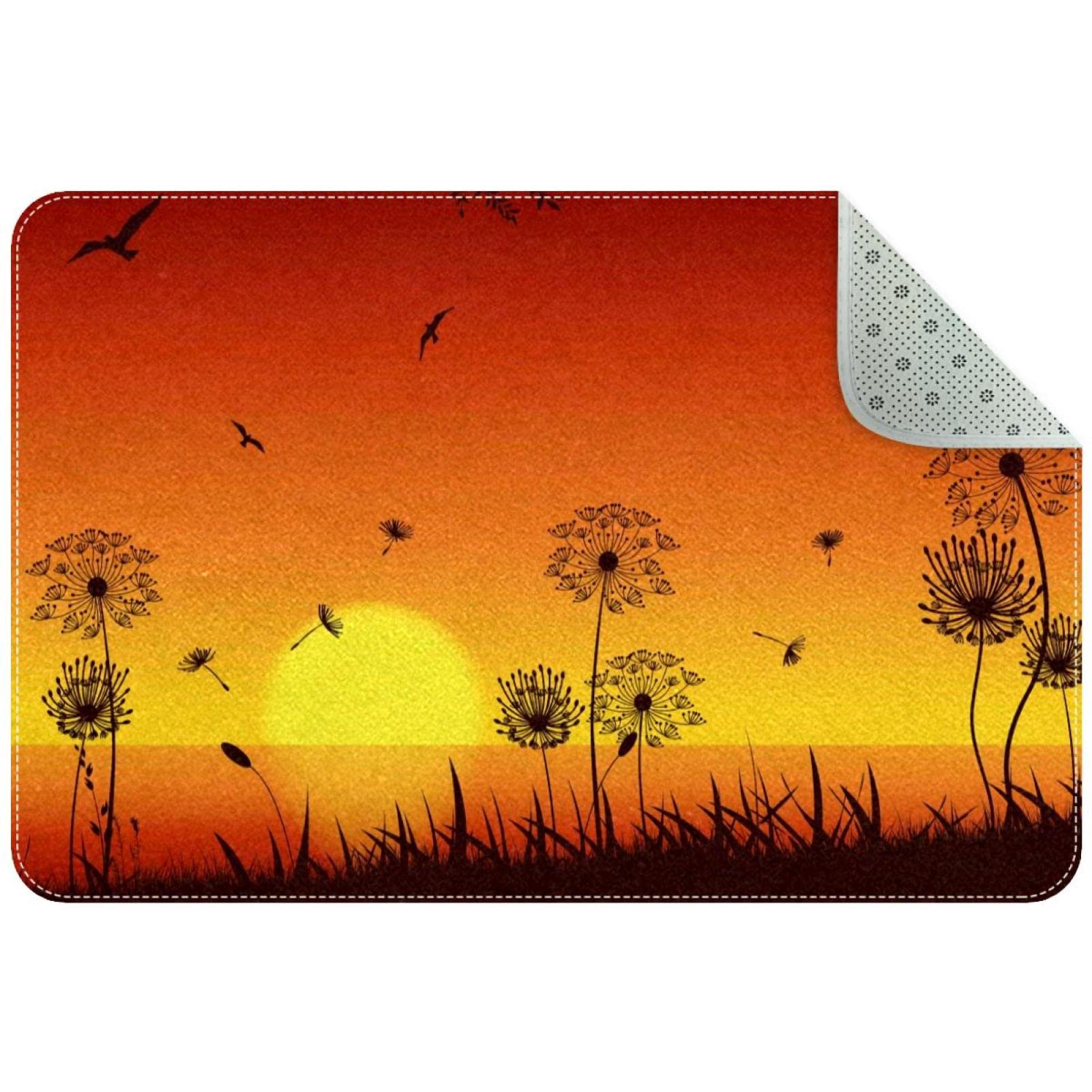 Paillasson Blowball Sunset fini les tapis d'entrée sales grâce au lavage machine