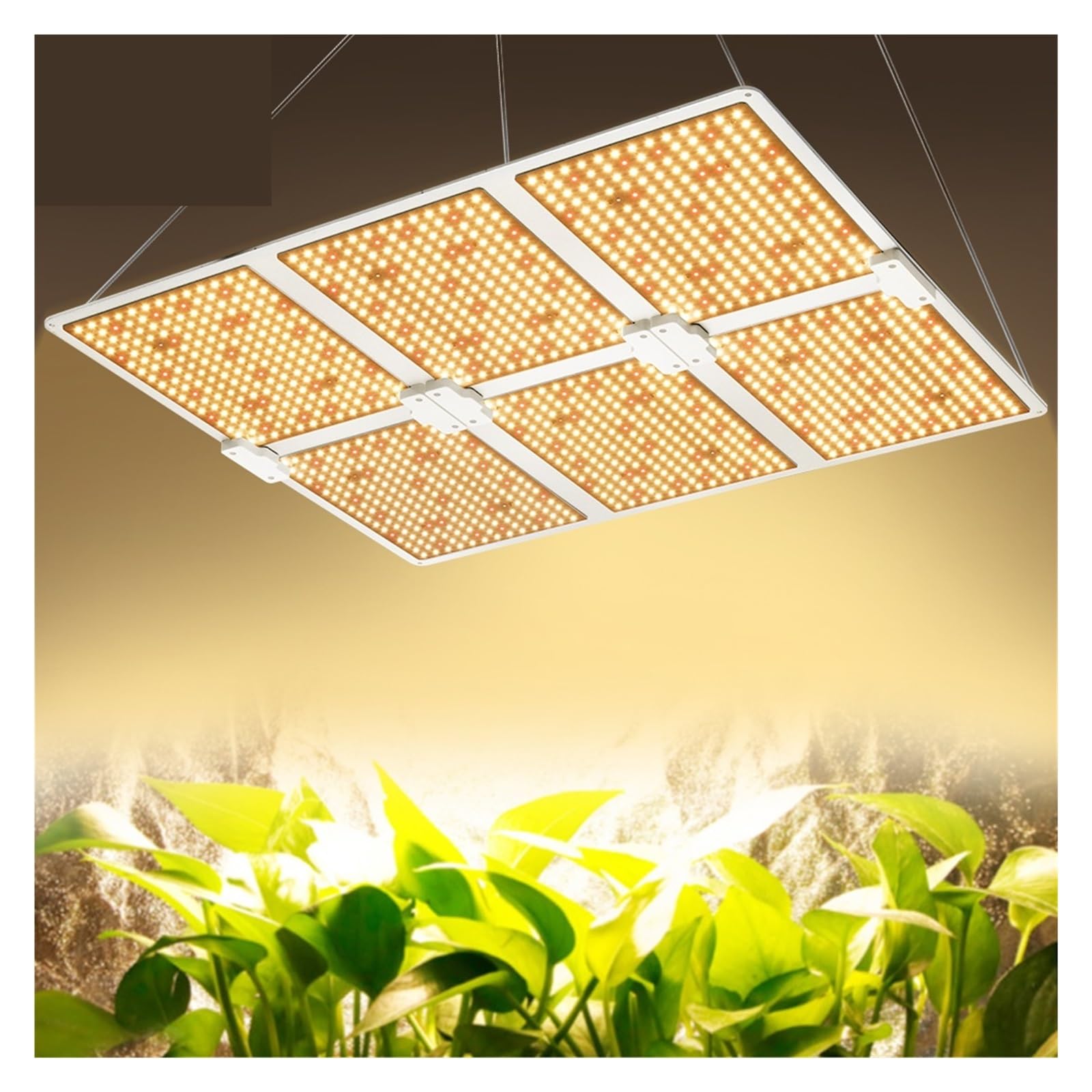 Lampe de Plante, LED élèvent la lumière LM281B 2000W 4000W 6000W Lampe Phyto à Spectre Complet Semblable Soleil quantique for l'éclaira de Croissance des Plantes de Serre.(QBC6000)