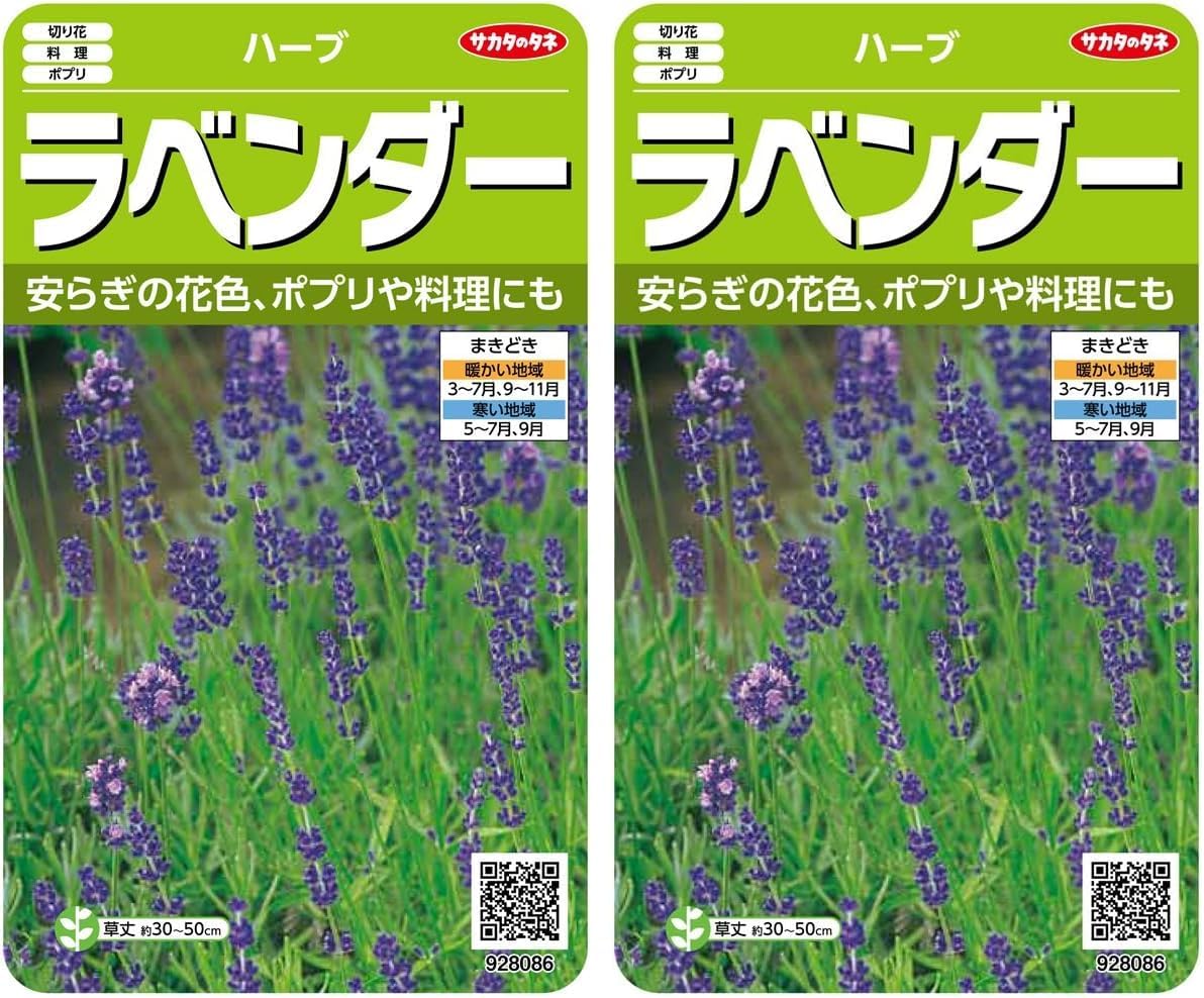 サカタのタネ 実咲ハーブ8086 ラベンダー ハーブ 00928086 (× 2)