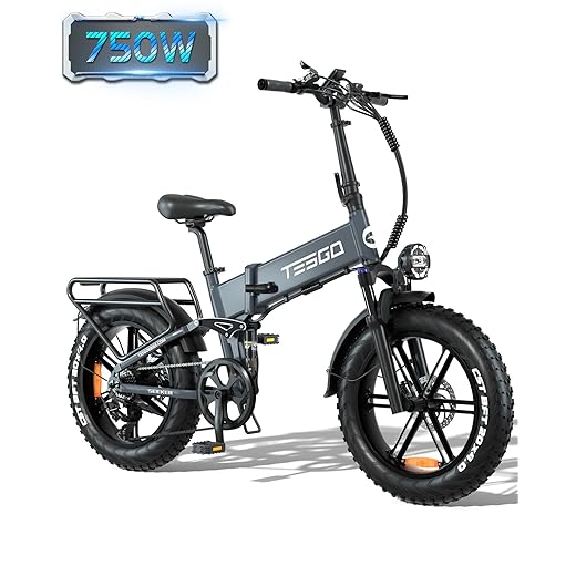 TESGO Folding Electric Bicycle for Adult - 1000W Electric Bike with [Samsung 48V 17.4AH] Battery - 20" x 4.0 Fat Tire Ebike for Commute City 32MPH - Shimano 8-Gear, Full Suspension, Hydraulic Brakes