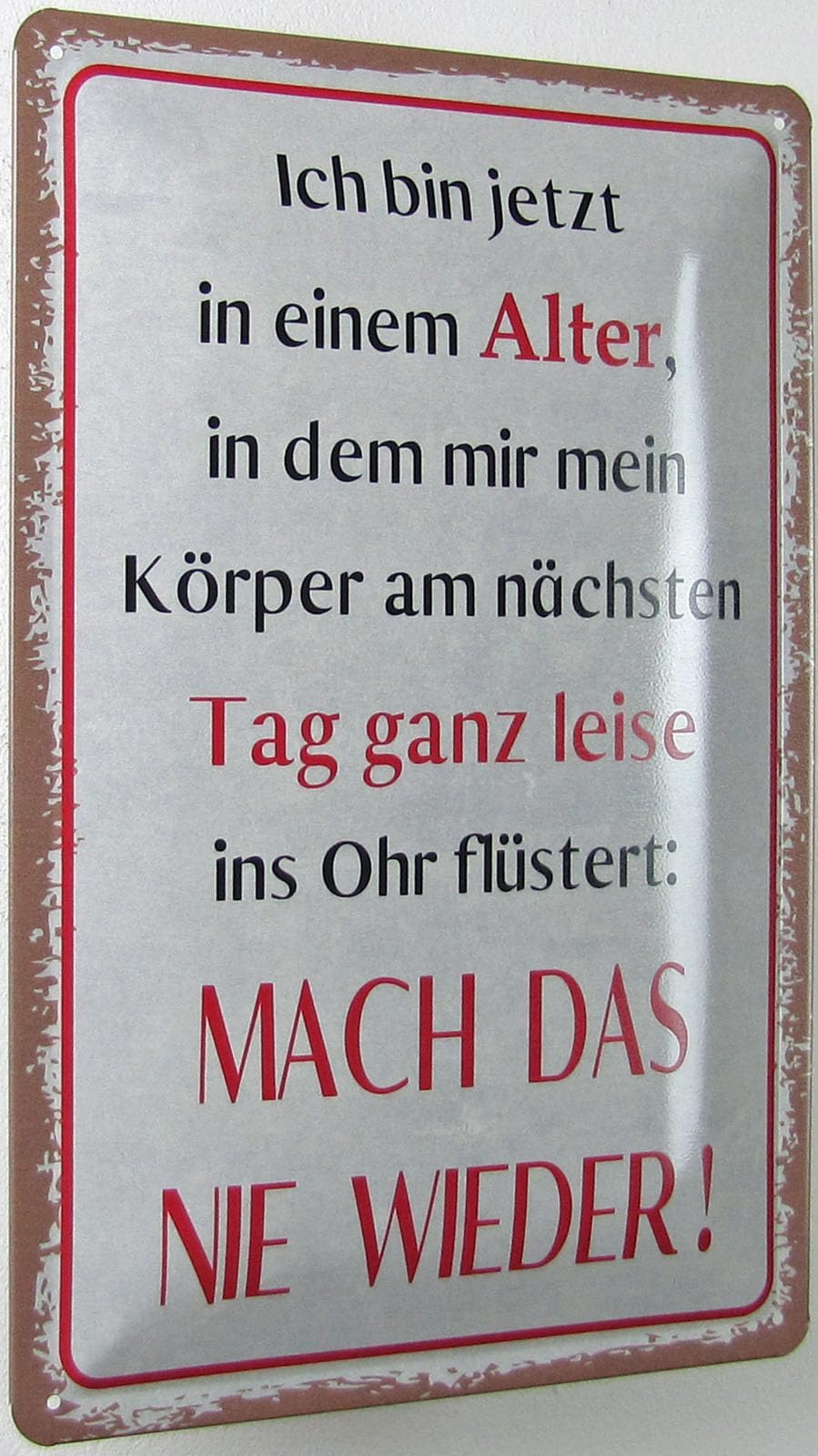 Blechschild 30 x 20 cm Albert Einstein Spruch - Wir leben in einer Welt, wo Erlichkeit als schwäche zählt und Lügner auf Händen getragen werden. - Deko7