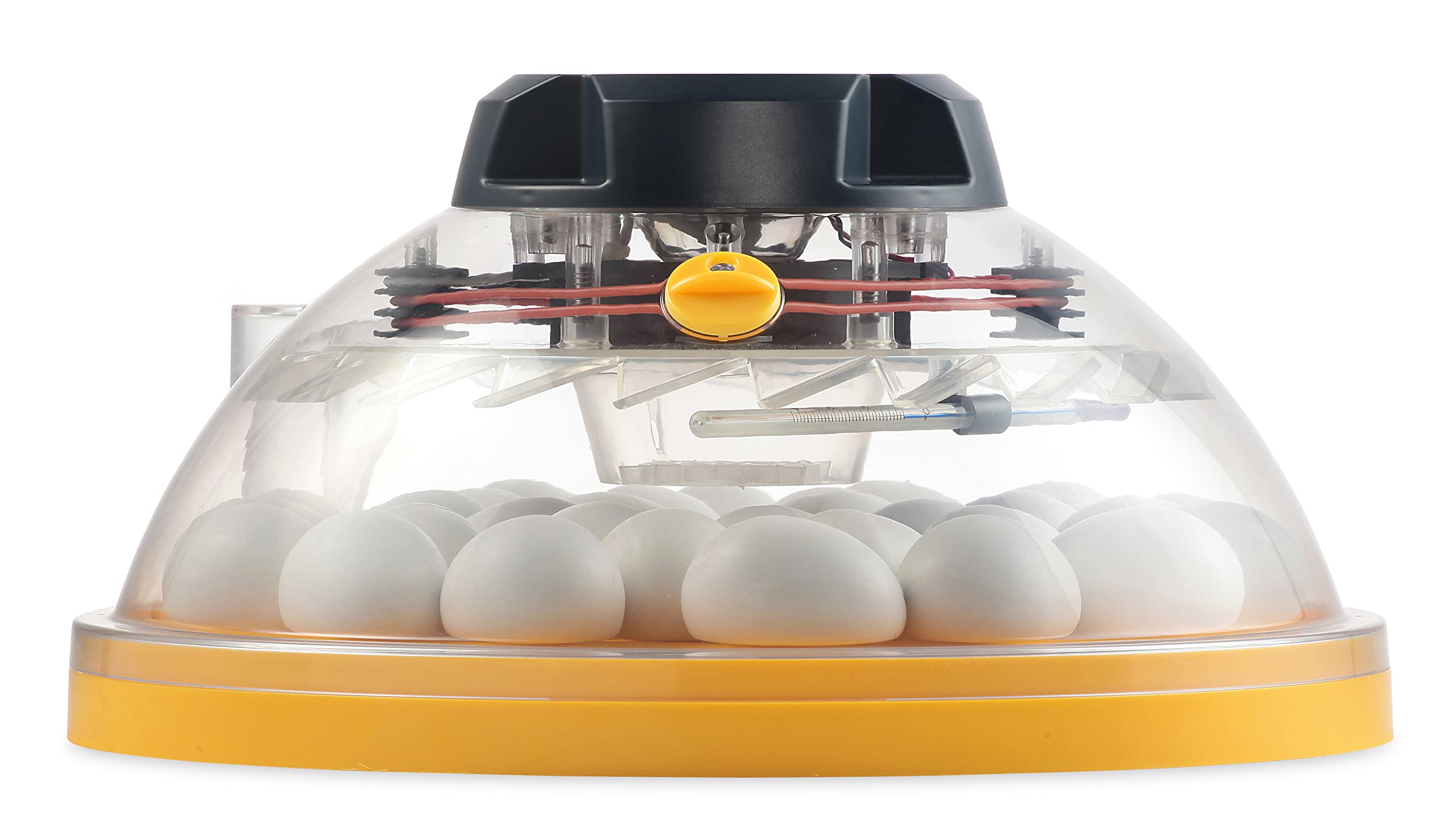 BRINSEA Incubadora Maxi II Eco - Capacidad para 30 Huevos de gallina- Incubadora analógica con volteo Manual - Apta como nacedora