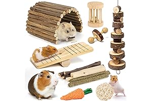 Sofier Guinea Pig Accessories for Healthy and Enriching Cages