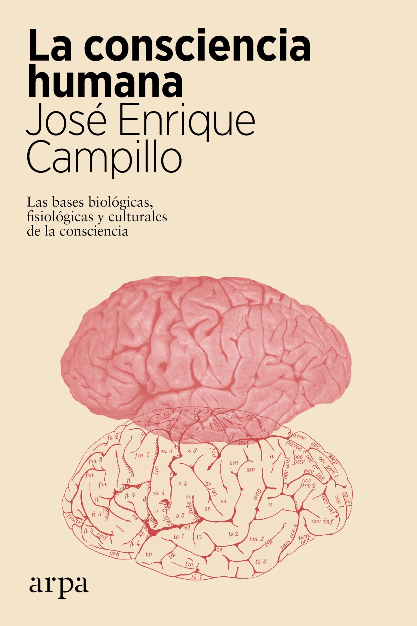 La consciencia humana: Las bases biológicas, fisiológicas y culturales de la consciencia