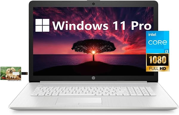HP Computadora portátil de 17 empresas, Intel Core i3-1115G4 de 11ª generación, pantalla FHD de 17.3 pulgadas, Windows 11 Pro, 12 GB RAM 256 GB SSD, HDMI, Wi-Fi, Bluetooth, cámara web, tarjeta USB Durlyfish de 32 GB 🥇✔️ ® A Pedido 🏆™