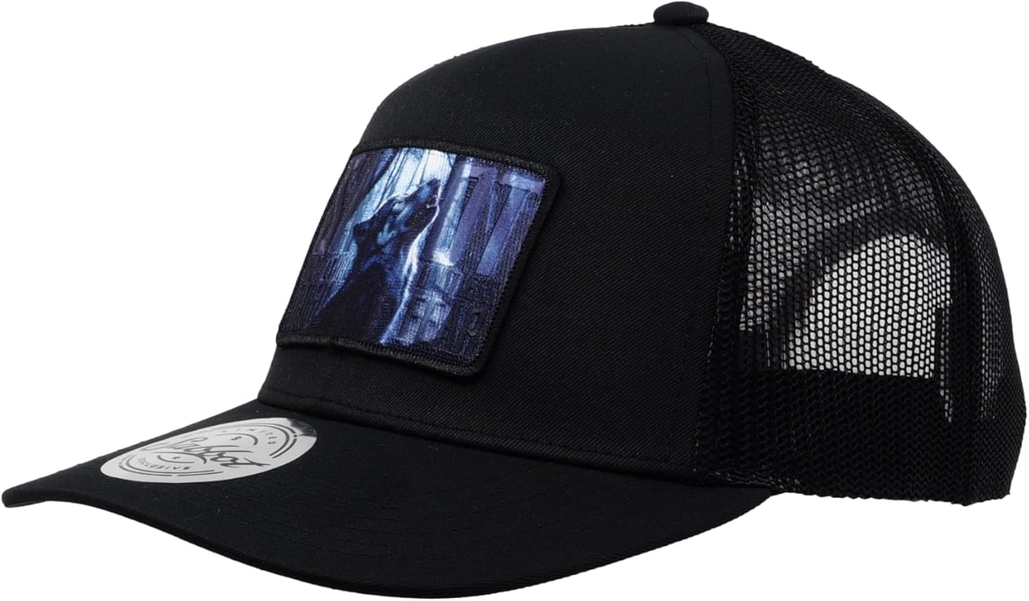 Nike Baseballcap met geborduurd logo in zwart online kopen | P&C