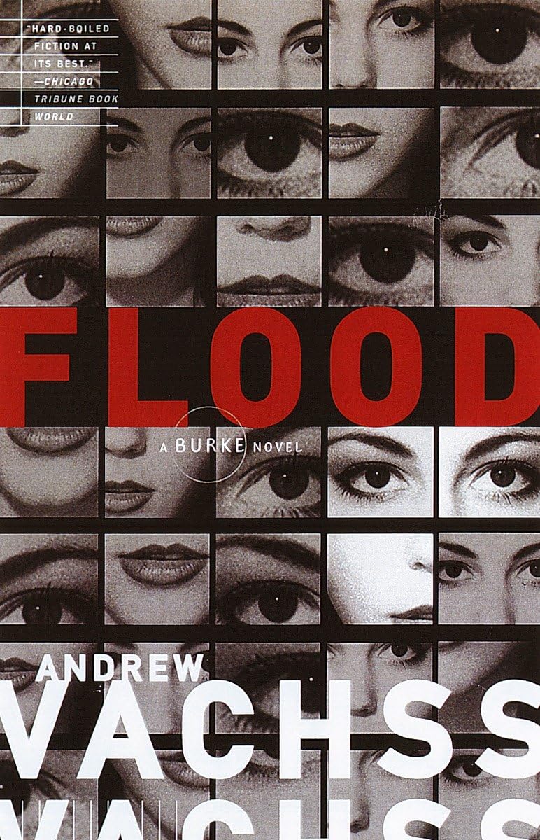 Buy Flood: 1 (Burke Series) — BookShops.in
