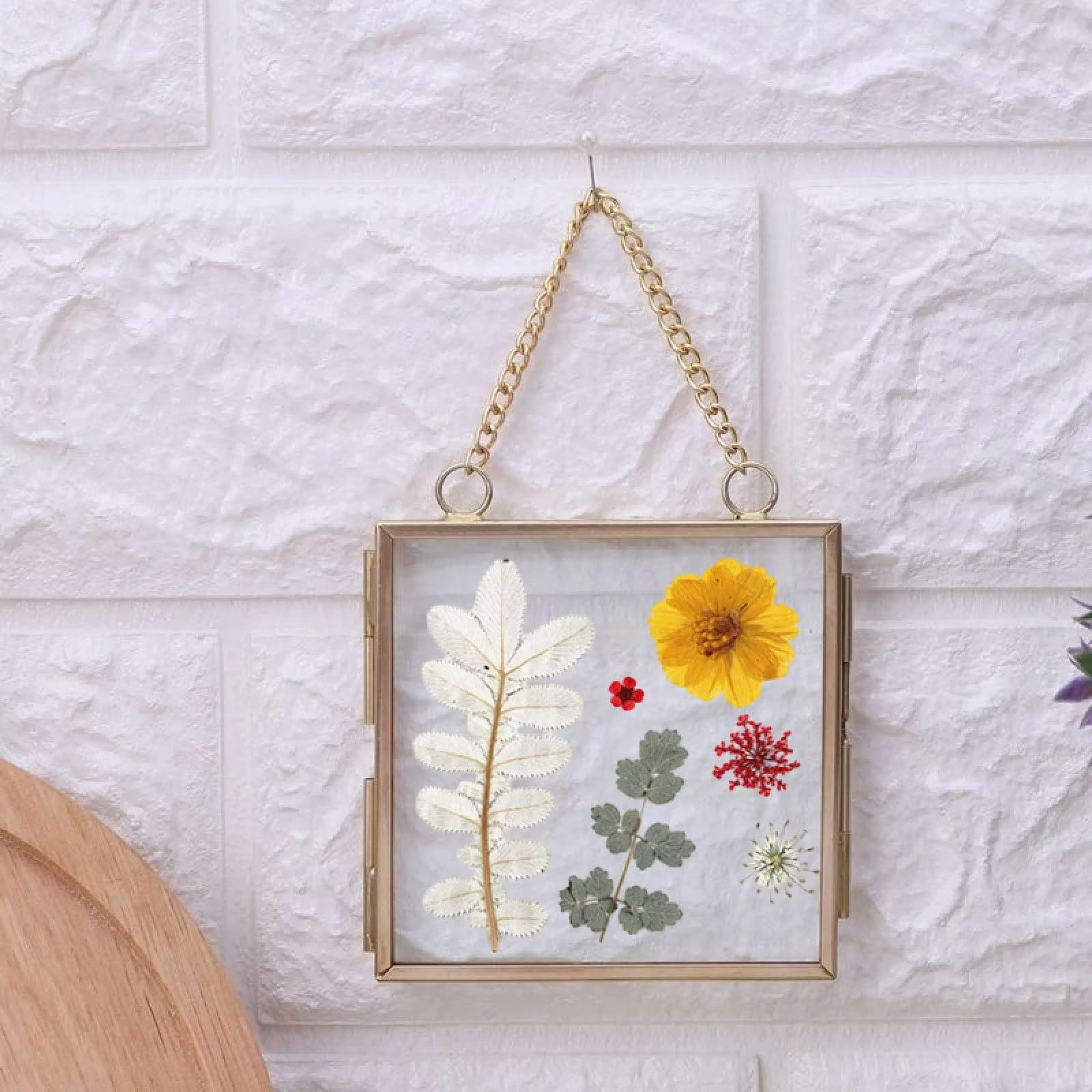 Amazon.co.jp: Typutomi 2個 ミニガラスフレーム 押し花用 真鍮 壁掛け