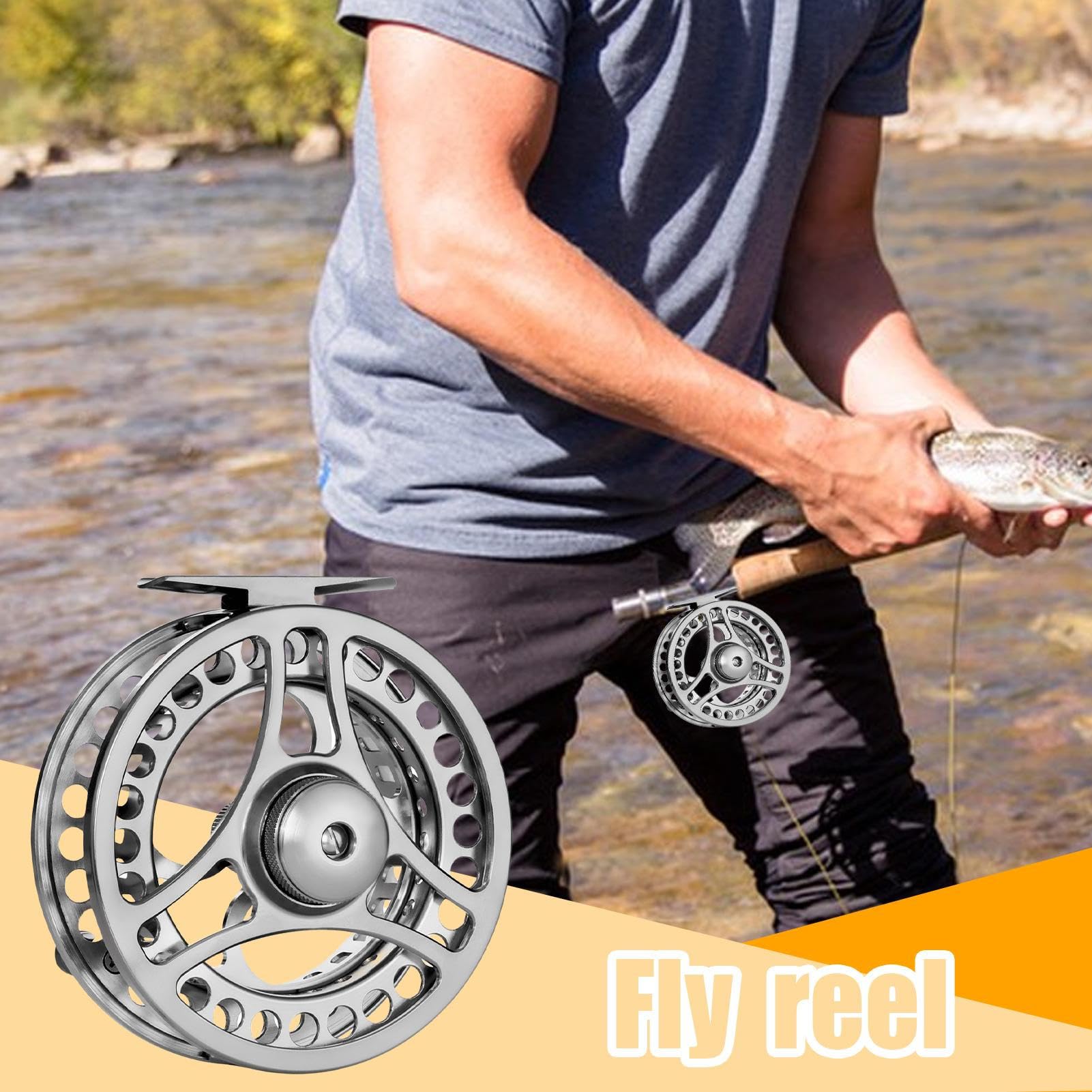 View 3