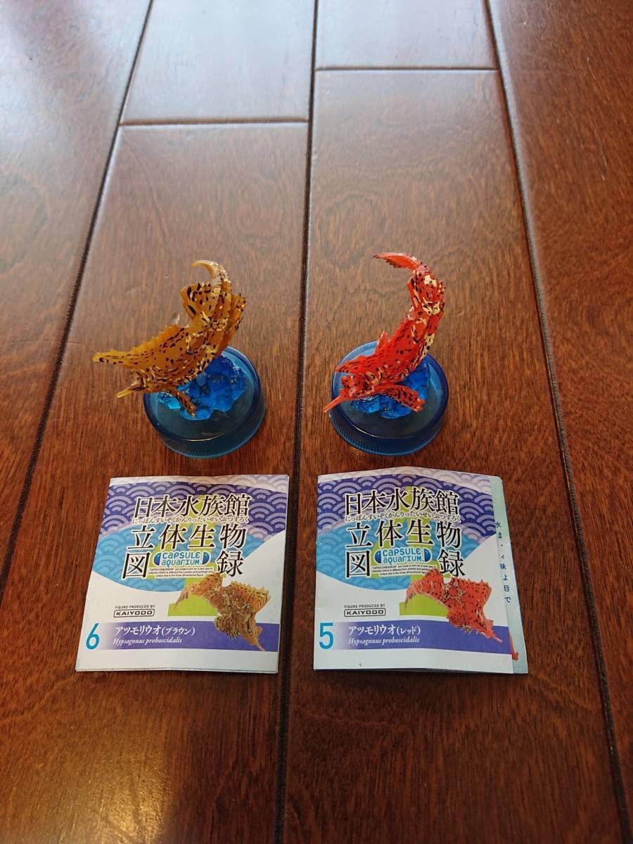 溶岩石 高15-17cm 庭石 鑑賞 アクアリウム ガーデニング 置物 オブジェ