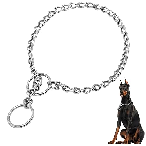 Seyezo Silver Dog Chain Collar, Slip Dog Training Choke Collar, 304 Stainless Steel Metal Chain Collar for Small Medium Large Dogs, Adjustable Heavy Duty P Chain Necklace, 16in, 40cm