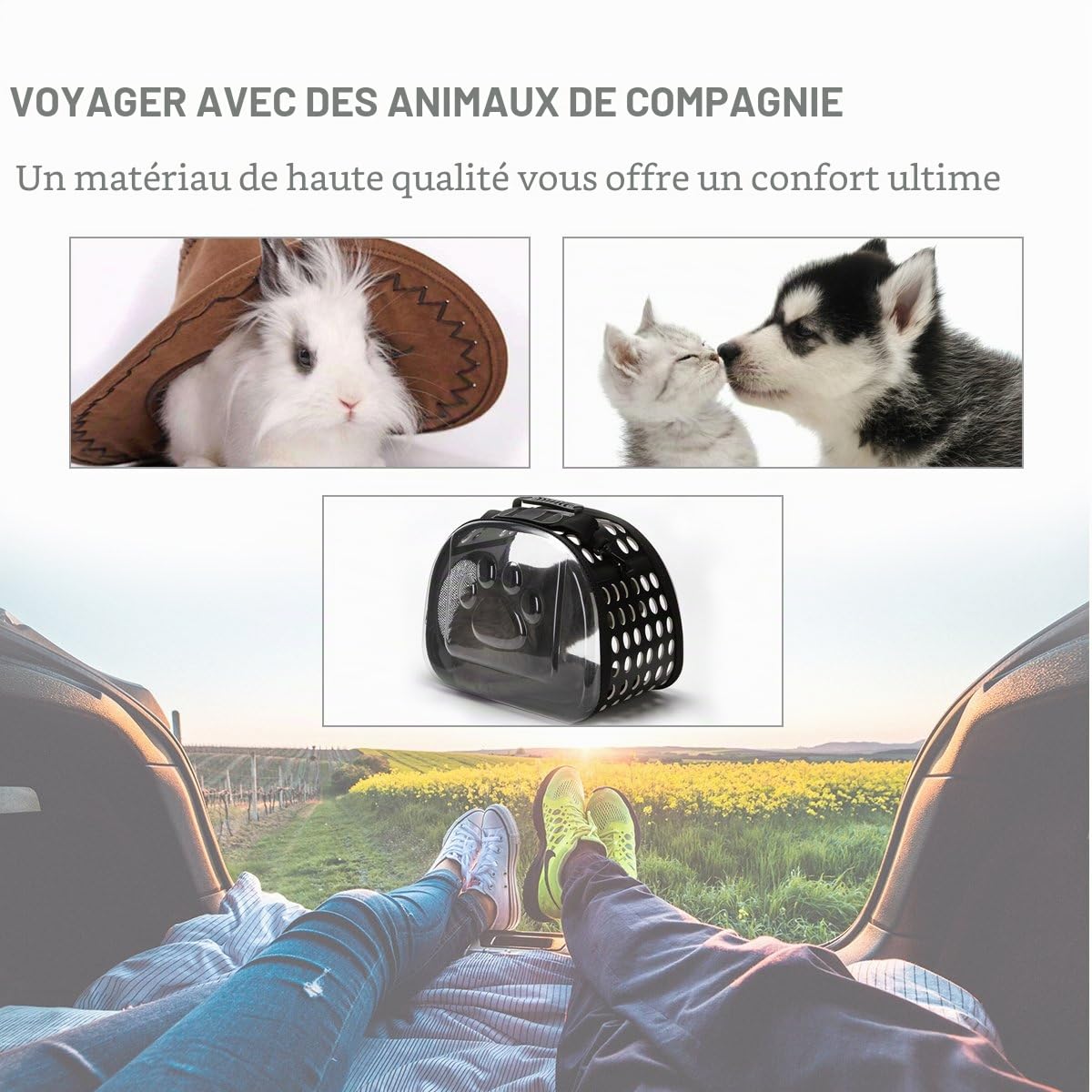 PETCUTE Sac de Transport pour Chat Cage Transport Lapin Caisse de Transport pour Chat