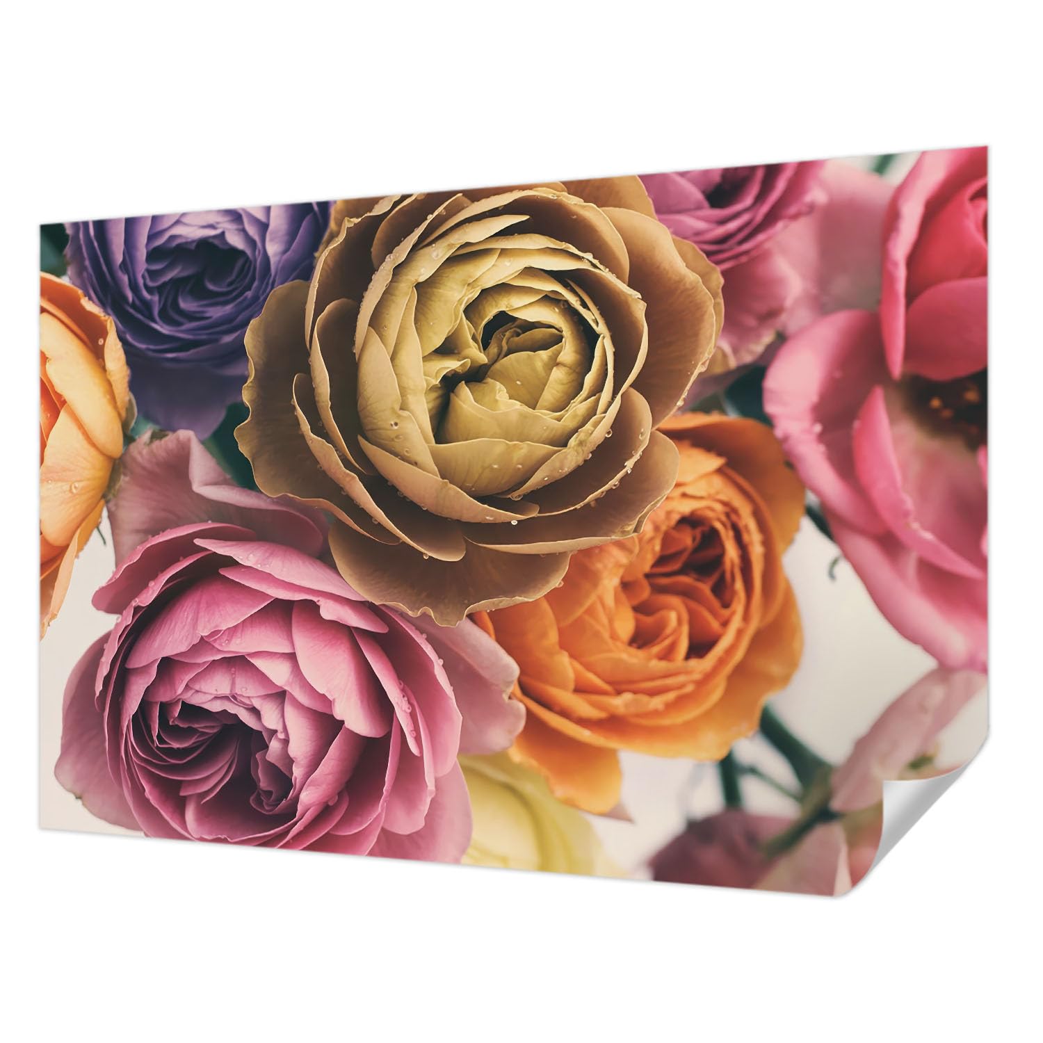 Papel tapiz resistente a las manchas acabado fotográfico de alta calidad rosas 152x104 cm