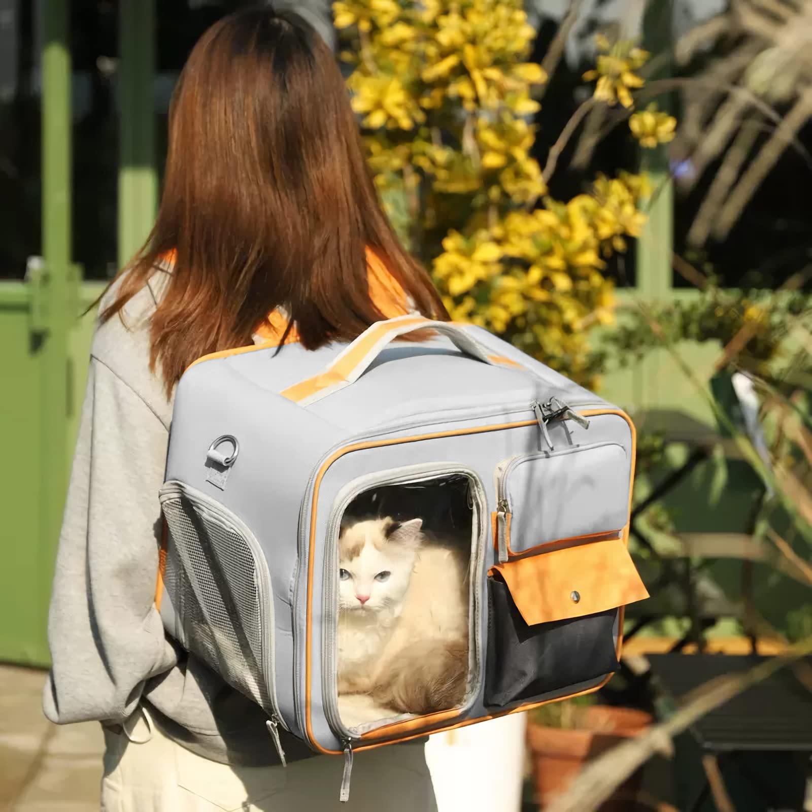PETCUTE Zaino per Cani,Fino a 15 kg,Zaino Per Animali Domestici con Materasso Rimovibile,Traspirante,Durevole,Trasportino per Cani e Gatti con Spallacci Regolabili,Per Viaggi, Escursioni