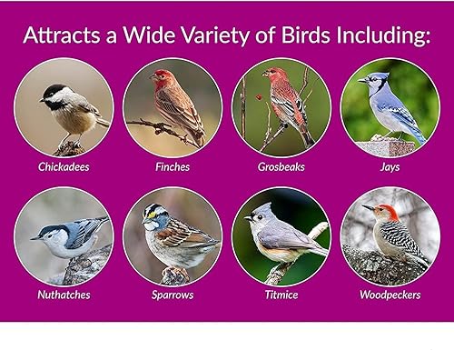 Miniatura 4 de Desert Valley - Corazones y patatas fritas de semillas de girasol de alta calidad, comida para aves silvestres, cardenales, arrendajos y más (10